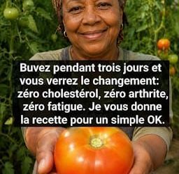Boisson naturelle pour soutenir l’équilibre du cholestérol et réduire les inflammations : recette complète étape par étape