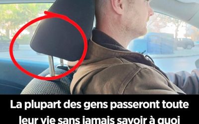 Pourquoi les appuie-têtes des voitures sont-ils équipés de tiges métalliques ? — Un dispositif de sécurité souvent négligé par les conducteurs