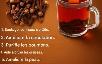 « L’épice ancestrale dans votre cuisine : 18 façons dont le thé au clou de girofle améliore la santé, le métabolisme et la longévité »