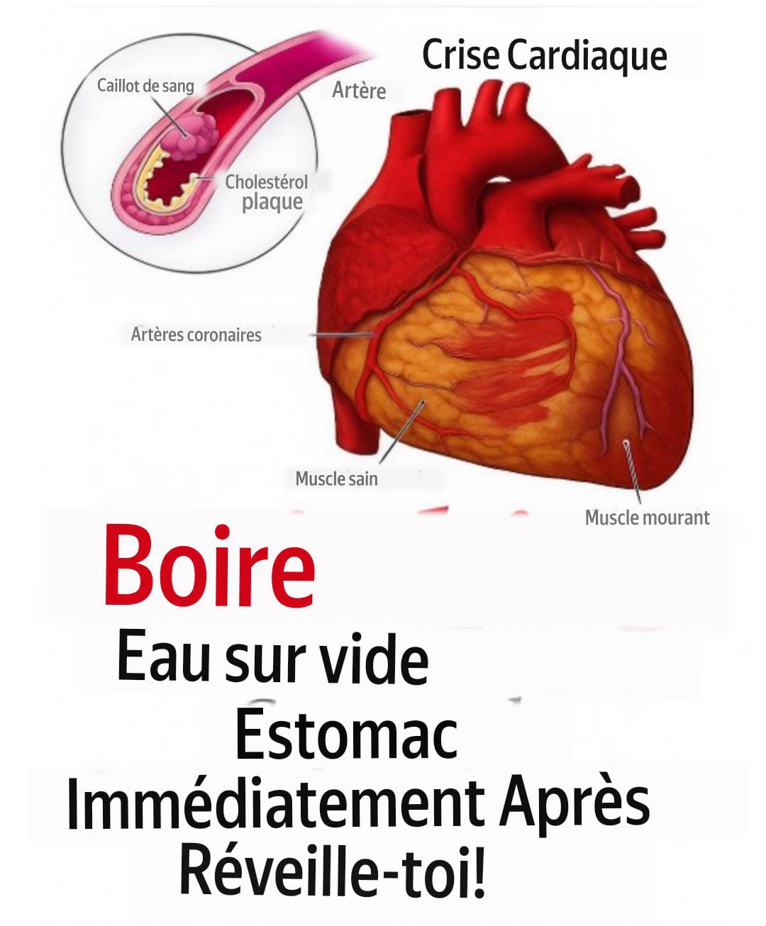 Saviez-vous que boire de l’eau à jeun pouvait l’être… voir plus👇