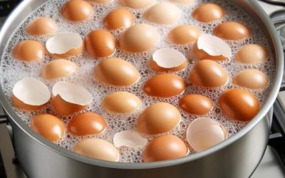 Arrêtez de les jeter. Faites bouillir vos coquilles d’œufs et dites adieu à… Afficher plus