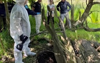 Gard : la fillette de 3 ans diGard : la fillette de 3 ans disparue près d’Uzès a été retrouvée saine et sauvesparue près d’Uzès a été retrouvée saine et sauve