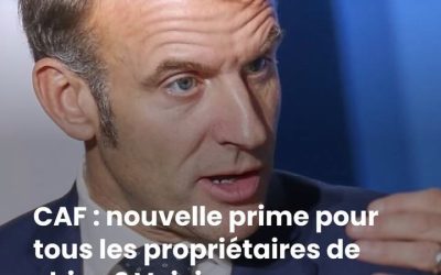 Des entreprises autorisent leurs salariés à emmener leurs chiens sur le lieu de travail