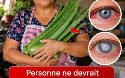 Après 50 ans : changements de vision que beaucoup commencent à remarquer et comment prendre soin de sa santé oculaire