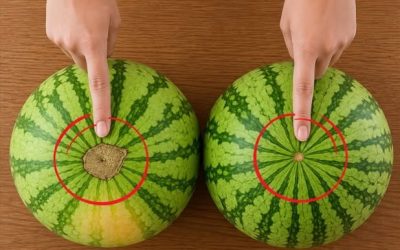 Regardez ça : voici comment choisir à coup sûr une pastèque sucrée, juteuse et parfaitement mûre !