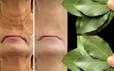 La feuille de laurier est-elle 100 000 fois plus puissante que le Botox ? | Une méthode naturelle pour estomper les rides, même à 70 ans !
