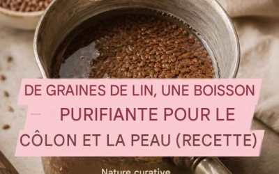 INFUSION DE GRAINES DE LIN – BOISSON PURIFIANTE POUR LE CÔLON ET LA PEAU (RECETTE)  Les graines de lin sont considérées comme un véritable don de la nature, riches en fibres, en acides gras oméga-3 et en composés bioactifs aux effets remarquables sur l’organisme.
