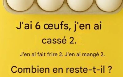 L’énigme des 6 œufs — La réponse révélée