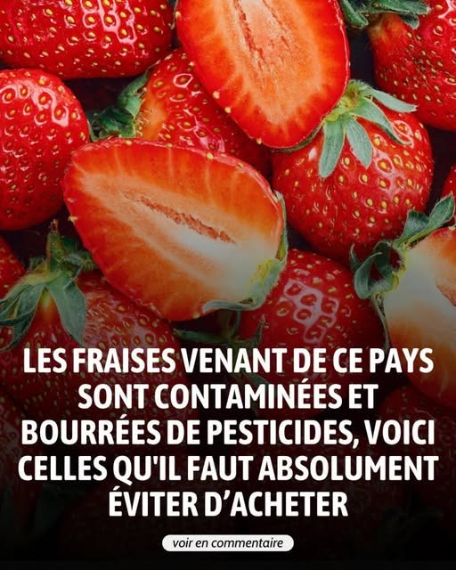 Les fraises de ce pays sont à éviter absolument…Voir plus