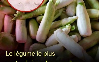 Le légume le plus susceptible de contenir des parasites est aussi celui que beaucoup de gens aiment manger cru.