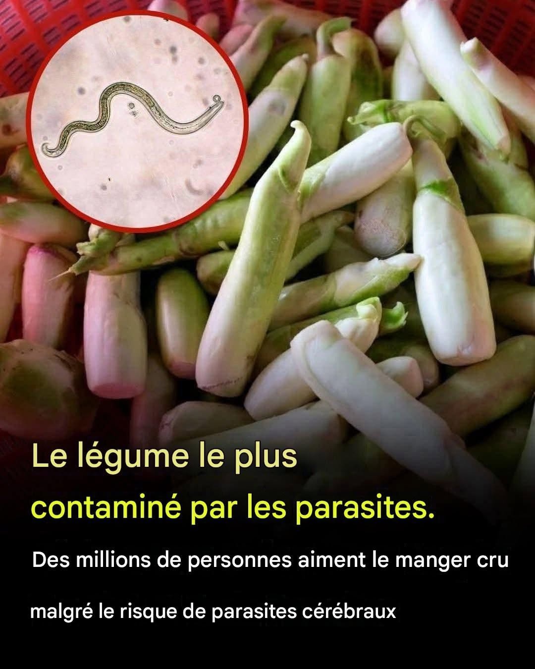 Le légume le plus susceptible de contenir des parasites est aussi celui que beaucoup de gens aiment manger cru.