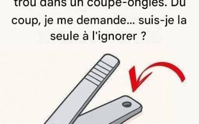 ARTICLE COMPLET DANS LE PREMIER COMMENTAIRE !!!