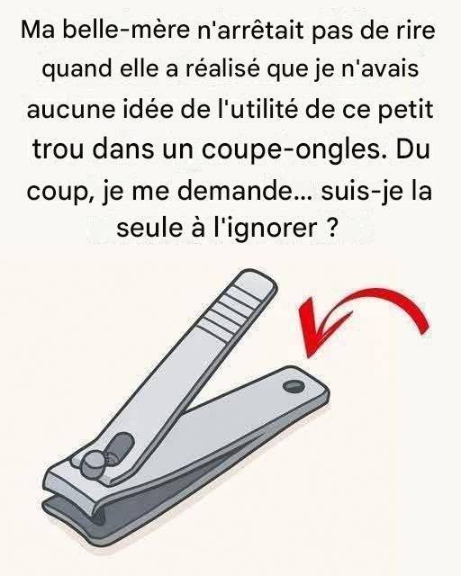 ARTICLE COMPLET DANS LE PREMIER COMMENTAIRE !!!