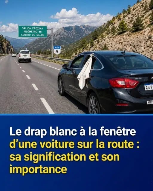 Chiffon blanc à la fenêtre d’une voiture : ce signal discret que tout conducteur devrait connaître