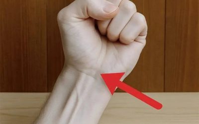 Un mystérieux muscle absent chez 15% des humains: le saviez-vous?