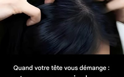 Vous savez, cette sensation agaçante et irritante qui semble surgir de nulle part et s’intensifie tout au long de la journée ? Souvent, cela signifie que votre cuir chevelu essaie de vous dire quelque chose. Stress, déséquilibre sébum, produits capillaires agressifs… Il y a de nombreuses causes, mais ne vous inquiétez pas, il existe aussi des solutions. Dans cet article, nous explorerons les différentes causes de ces démangeaisons et vous donnerons des conseils pour soulager et prévenir cet inconfort. Prêt à mettre fin à ce problème ? Les principales causes des démangeaisons du cuir chevelu : pellicules et dermatite séborrhéique : les principaux suspects. Les pellicules, ces esquames blanches peu esthétiques, apparaissent souvent à cause d’un excès de sébum ou de produits agressifs. Cela provoque une démangeaison agaçante et plus vous grattez, plus votre cuir chevelu devient irrité. La dermatite séborrhéique, en revanche, est plus grave : c’est une inflammation chronique qui provoque des plaques rouges avec des écailles épaisses et jaunâtres. En plus du cuir chevelu, il peut aussi affecter les sourcils, la zone derrière les oreilles, voire les côtés du nez. Comment est-ce traité ?