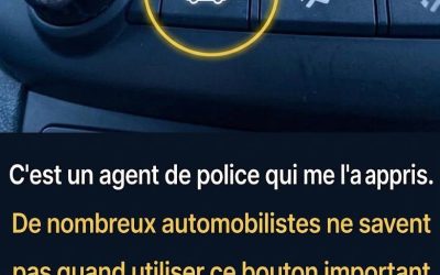 Tout conducteur devrait le savoir !