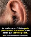 Pilosité auditive : ce que vos oreilles disent de votre équilibre hormonal