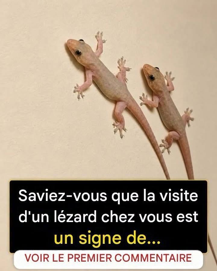 Ce que révèle vraiment la visite d’un lézard chez vous